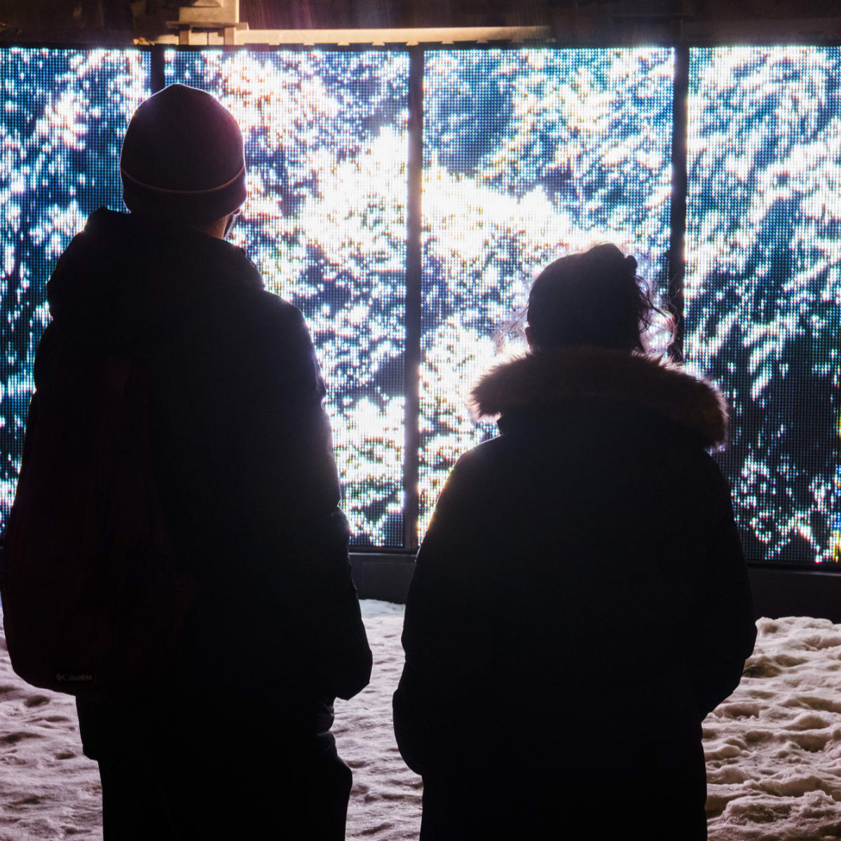 Art public - tableau vidéo de Mathieu Valade, au Jardin d'Hiver 2021.