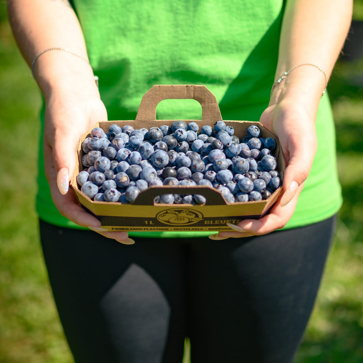 A person is holding a basket of blueberries at La Ferme Forget.