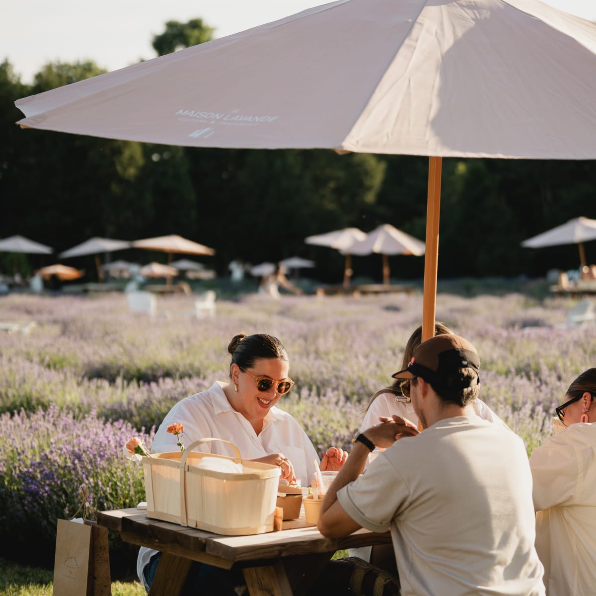 Deux couples assis à une table à pique-nique près des champs de lavande - Maison Lavande