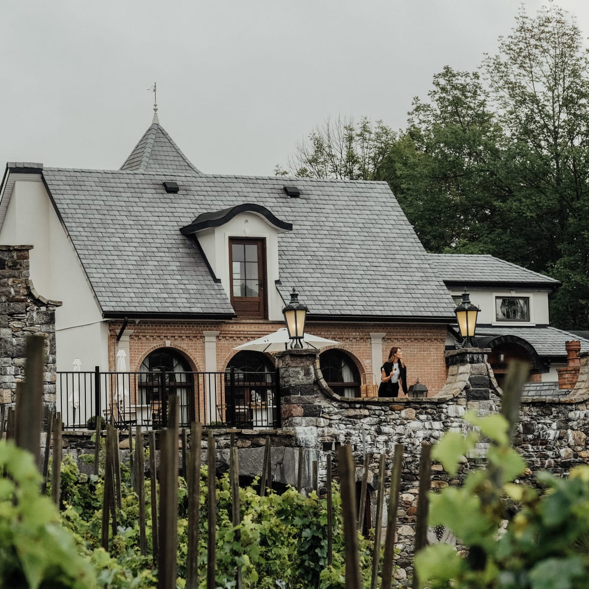 The front of a country inn, with vineyards in the foreground.