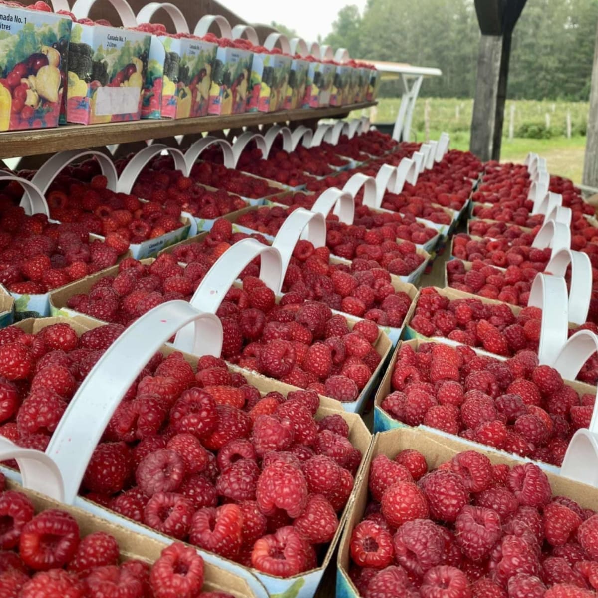 La Vallée de la Framboise