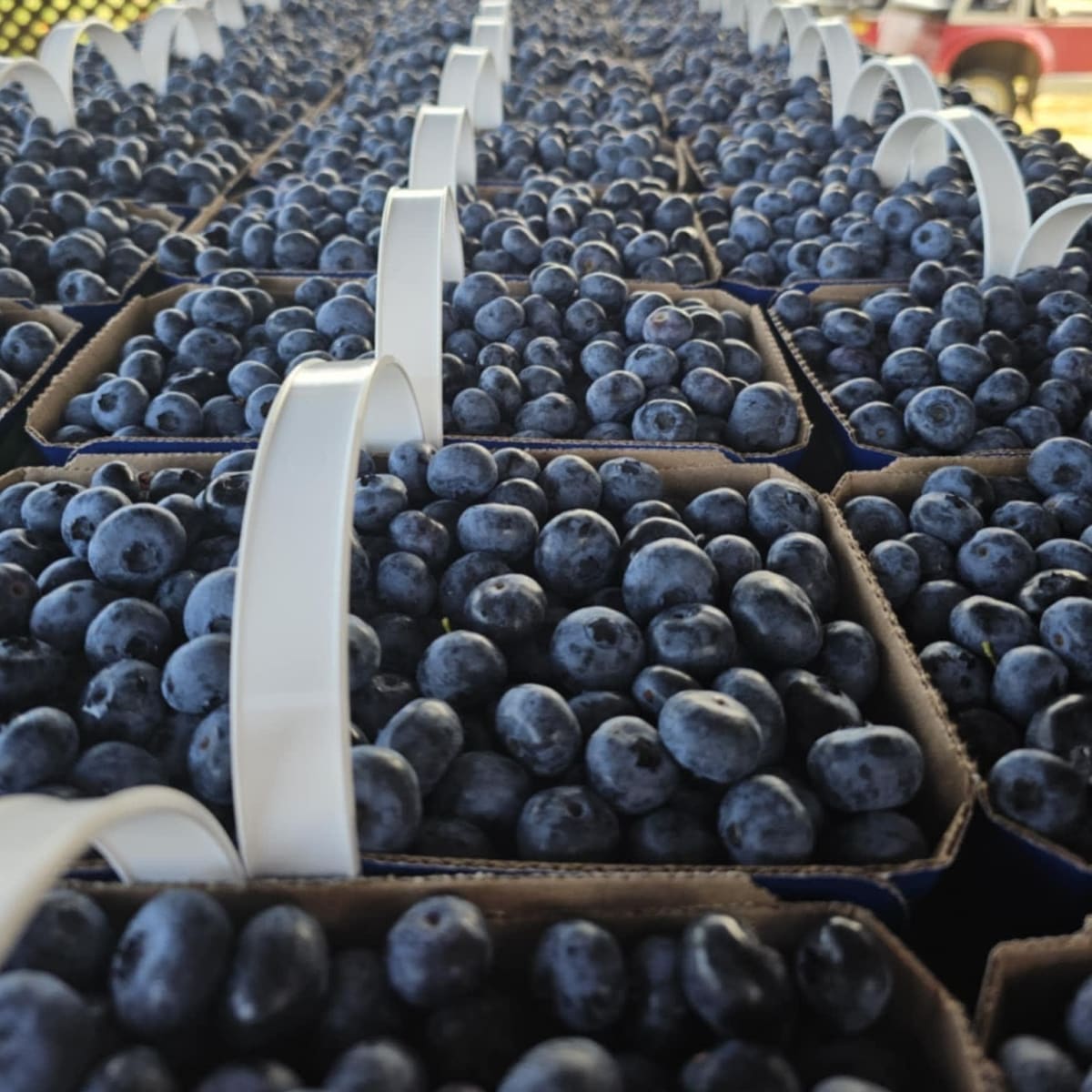 La Vallée de la Framboise