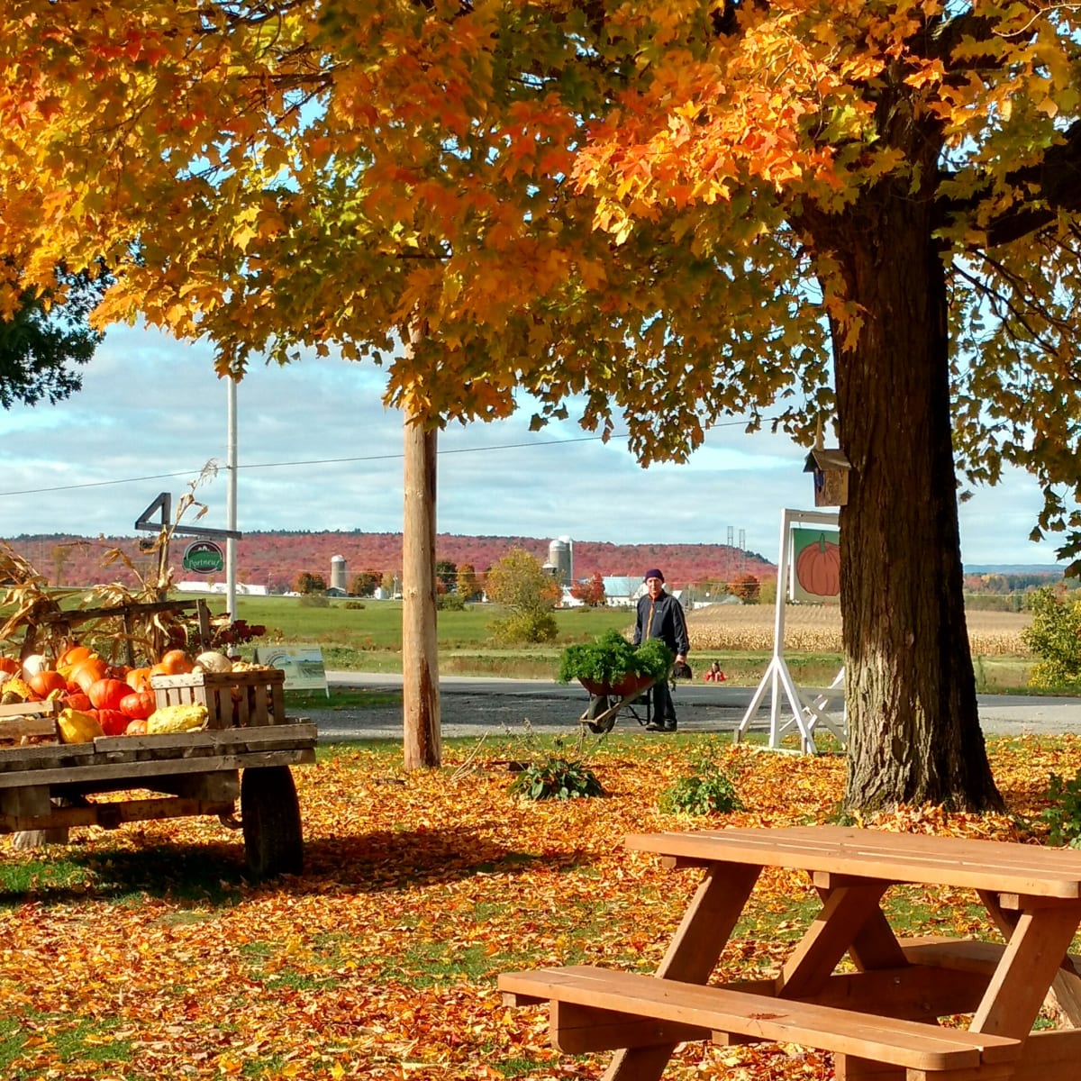 L'Arc-en-ciel du Paradis in Fall season