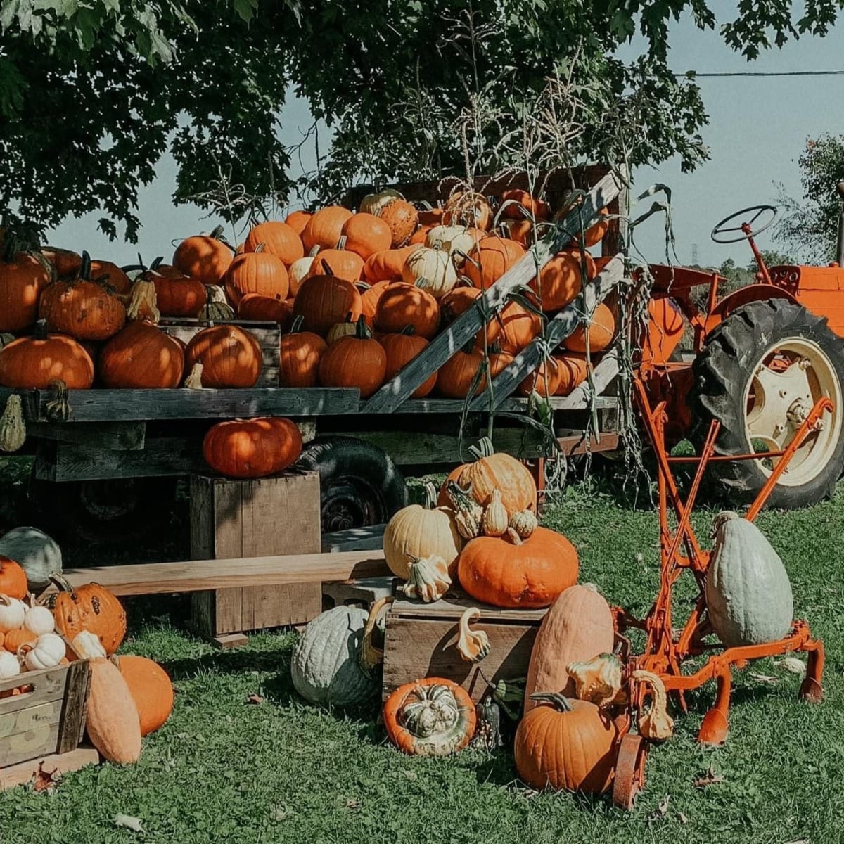 L'Arc-en-ciel du Paradis.