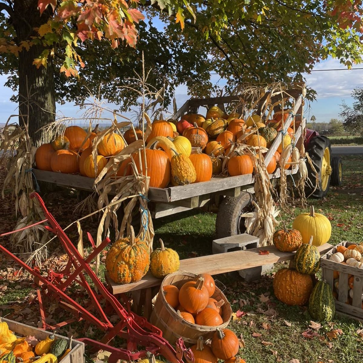 L'Arc-en-ciel du Paradis.