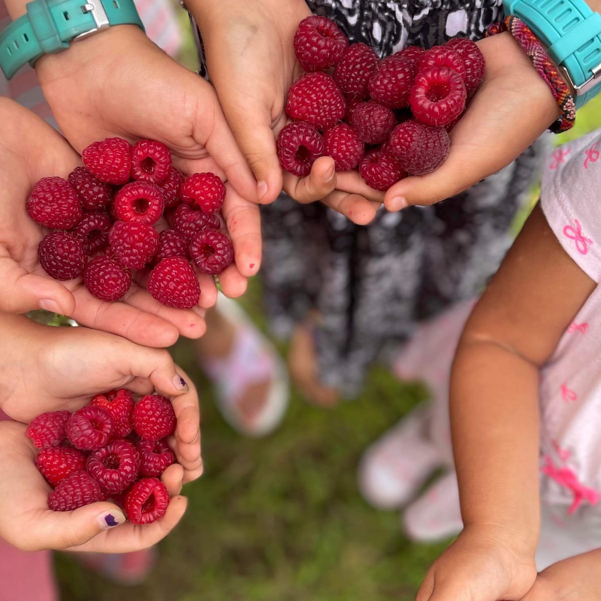 L'Arc-en-ciel du Paradis.
