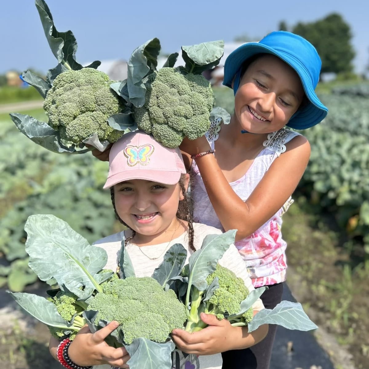 L'Arc-en-ciel du Paradis.