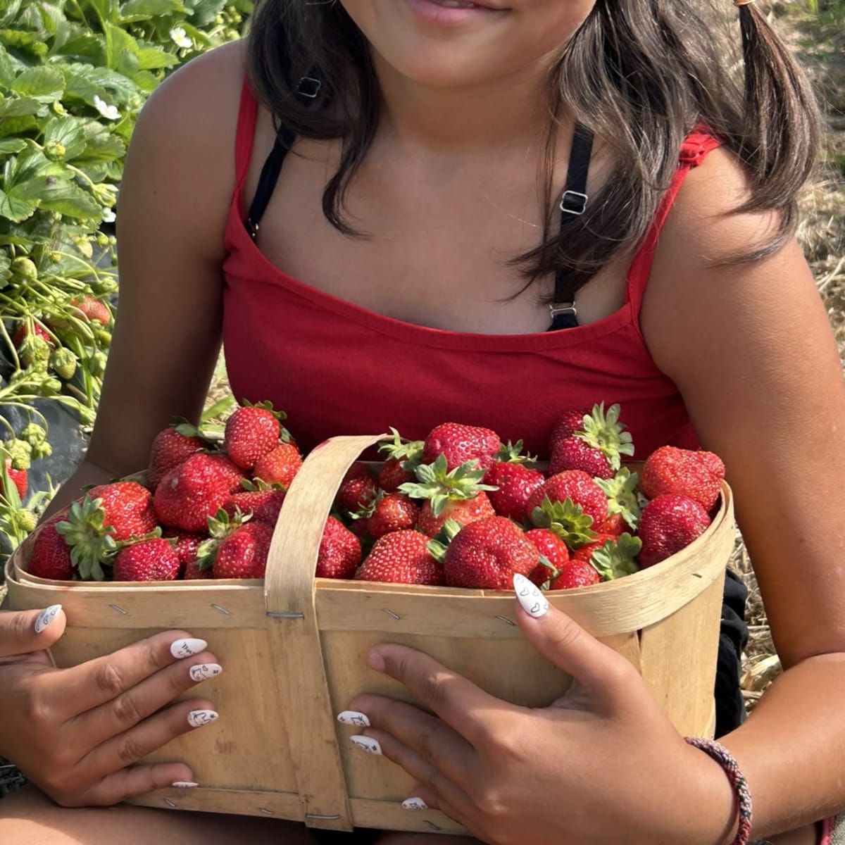L'Arc-en-ciel du Paradis.
