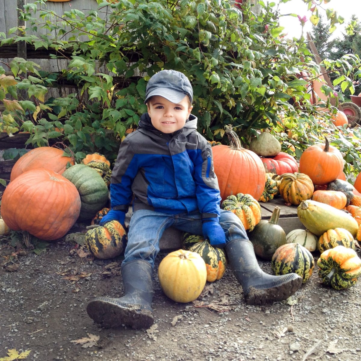 Garçon assis dans des citrouilles. 