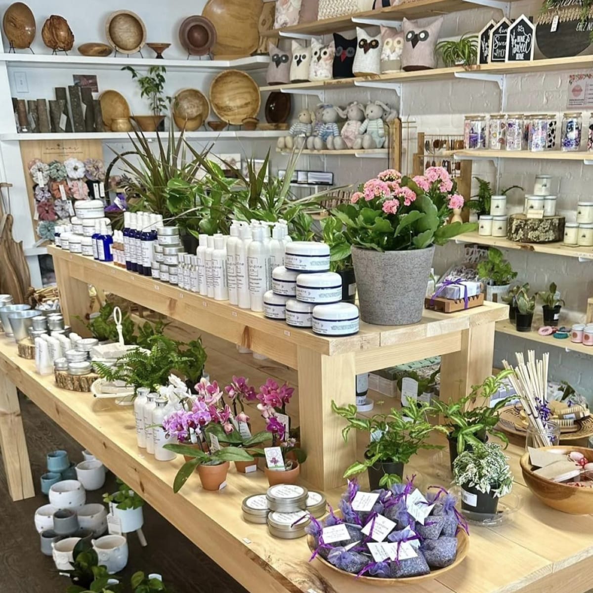 Shop, Lavandine et cie.