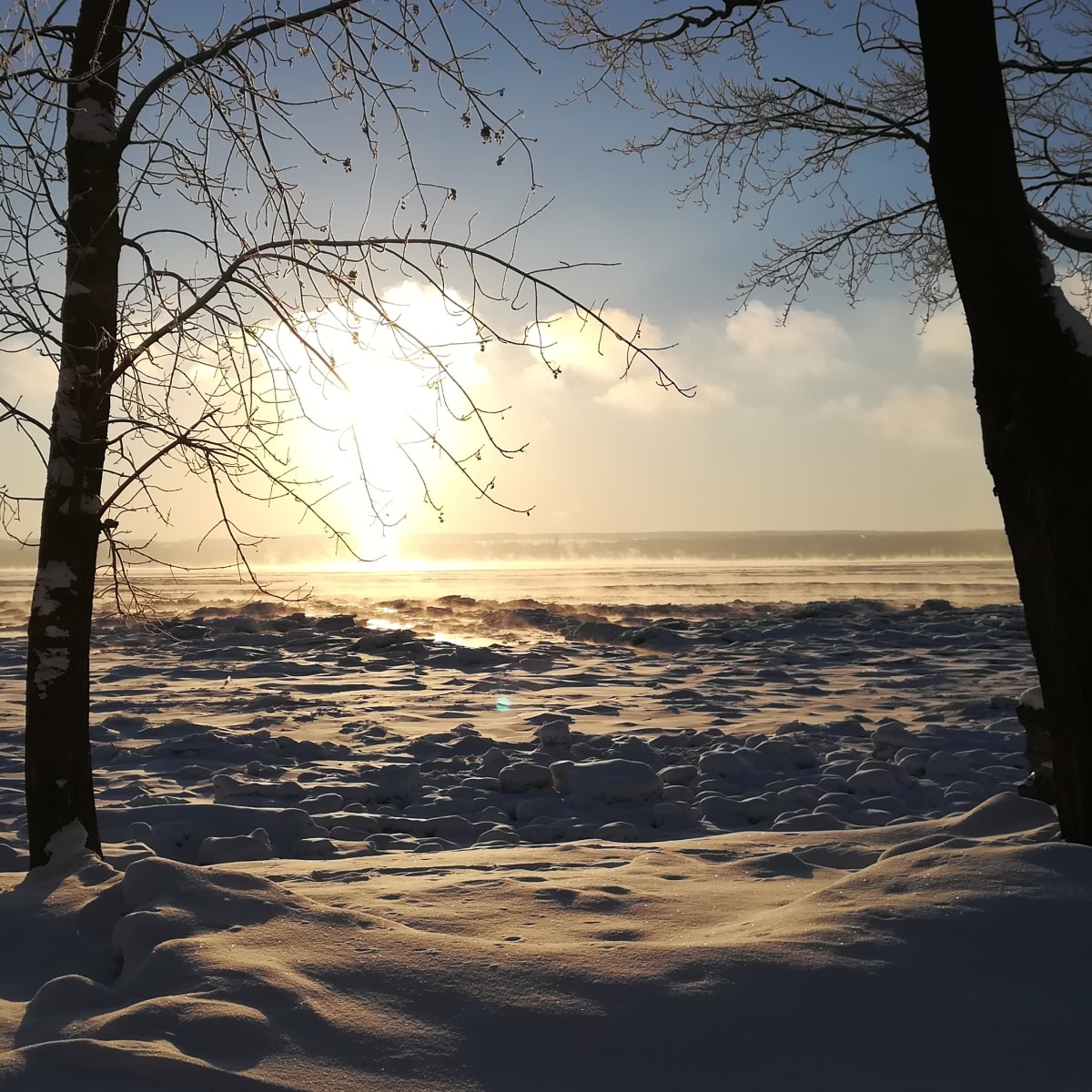 Paysage ensoleillé en hiver sur le bord du fleuve. 
