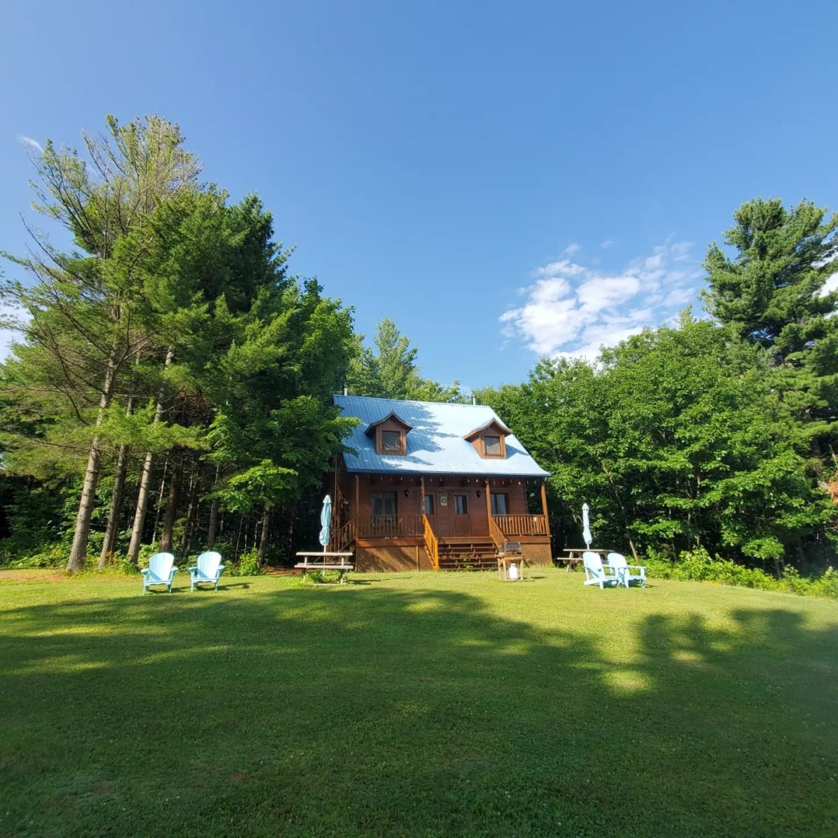 Les chalets sur le Cap - Chalet en nature.