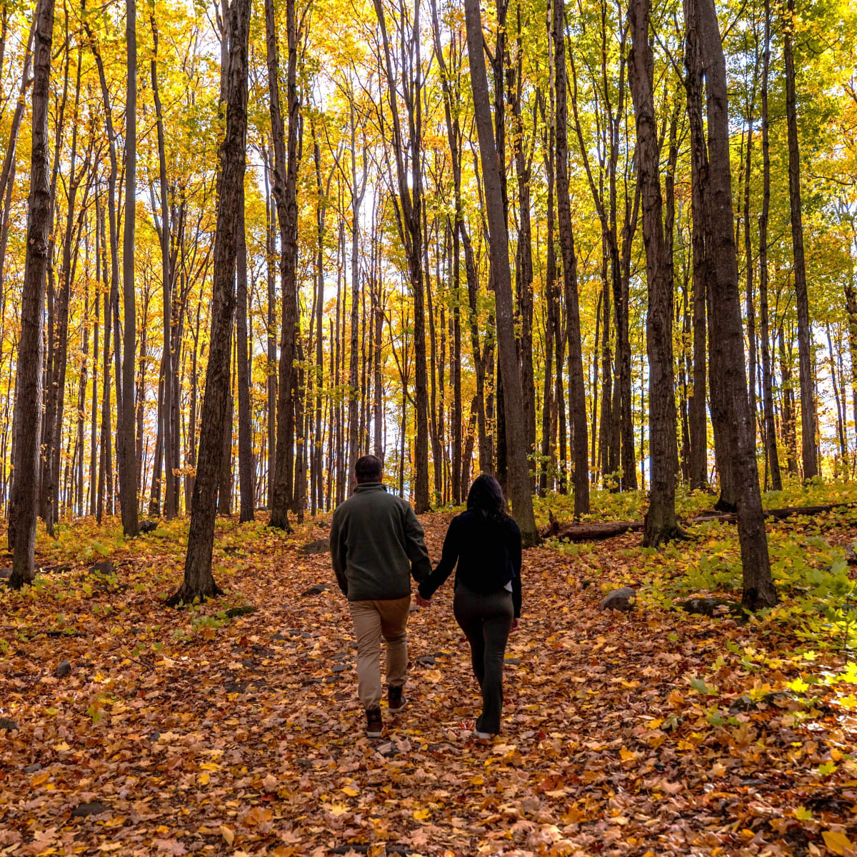 Couple walking in a fall landscape.