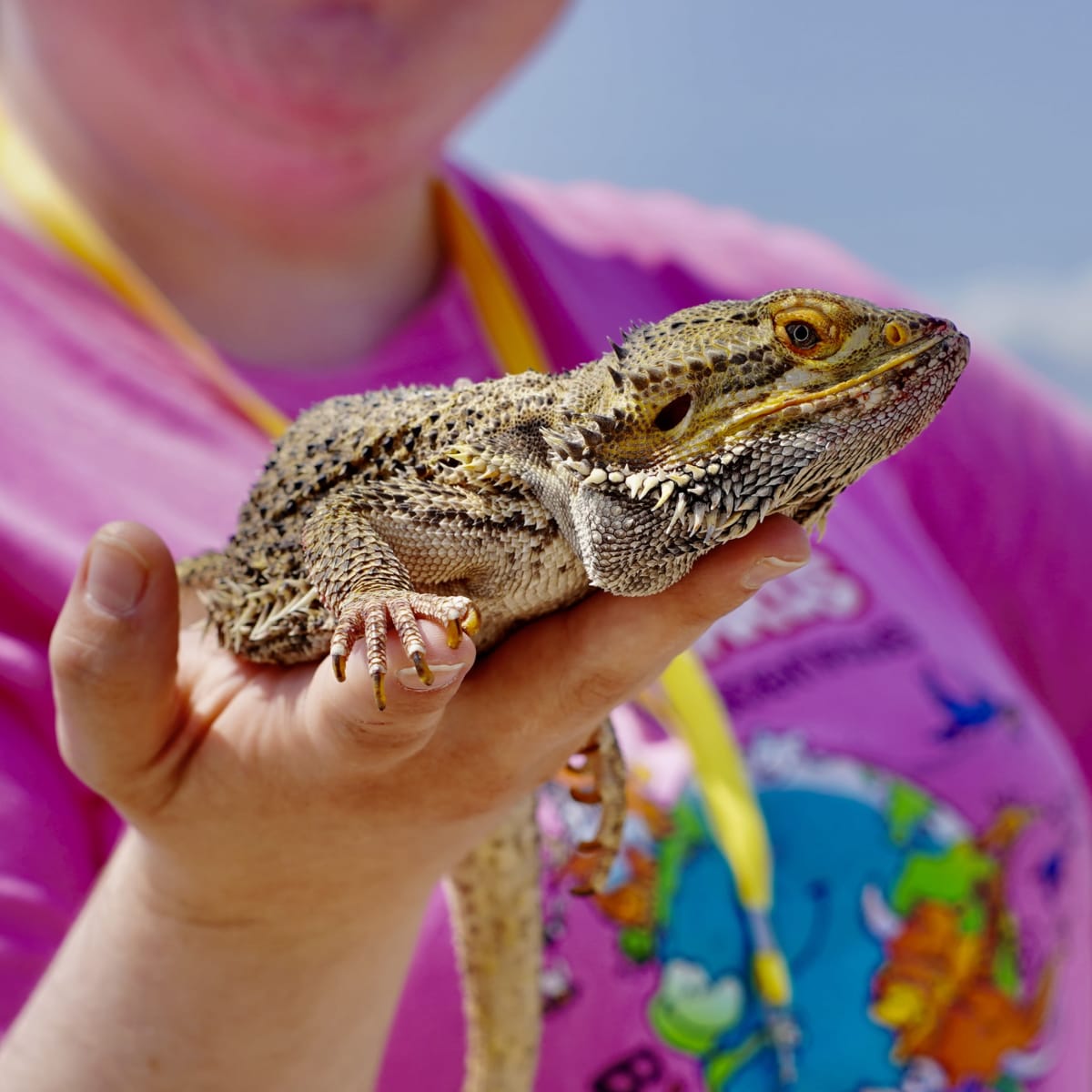 A woman holding a reptile in her hand at the Levisium Science Festival 2026 in Quebec City.