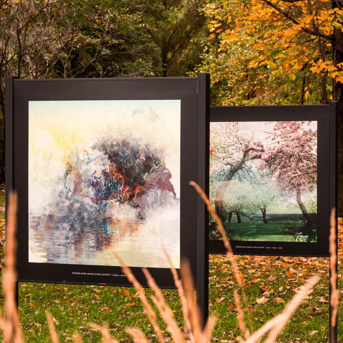 Art extérieur en automne.