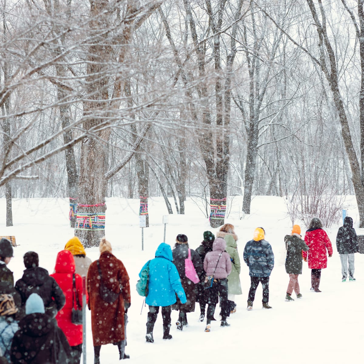 Manif d'art - La biennale de Québec