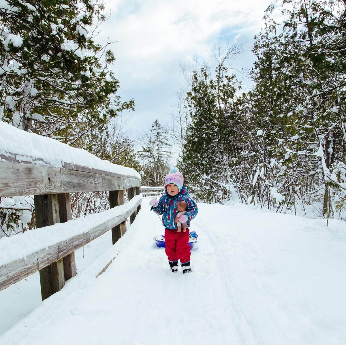 Marais de la Rivière aux cerises.