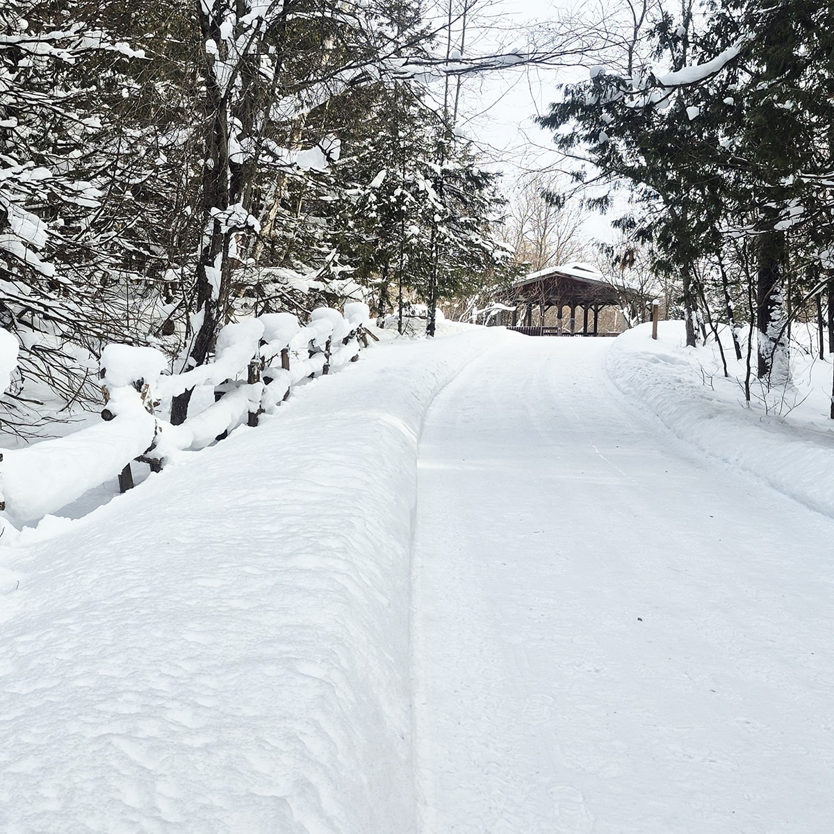 Marais de la Rivière aux cerises