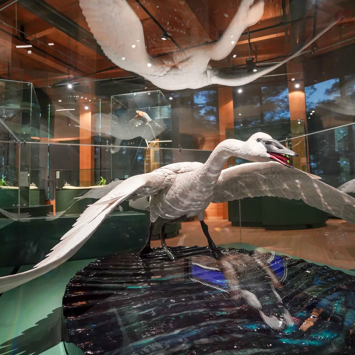 Marais de la Rivière aux cerises