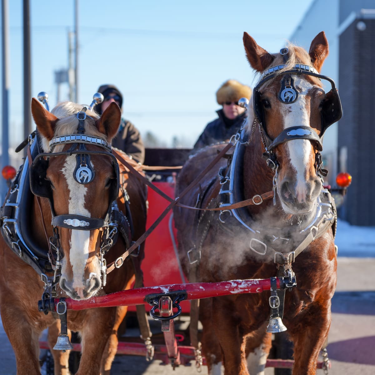 Marché de Noël de Mirabel