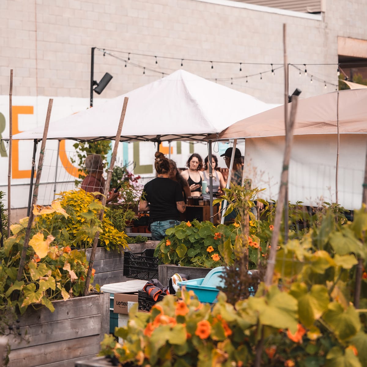 Marché public de Lennoxville