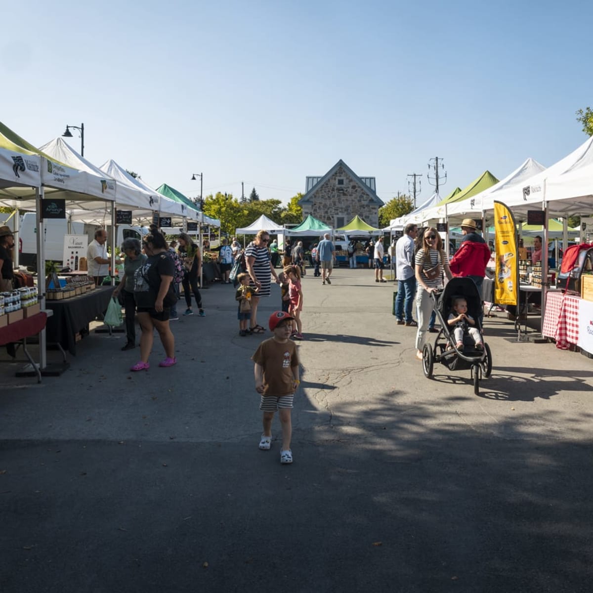Overview of the marché public moulinois