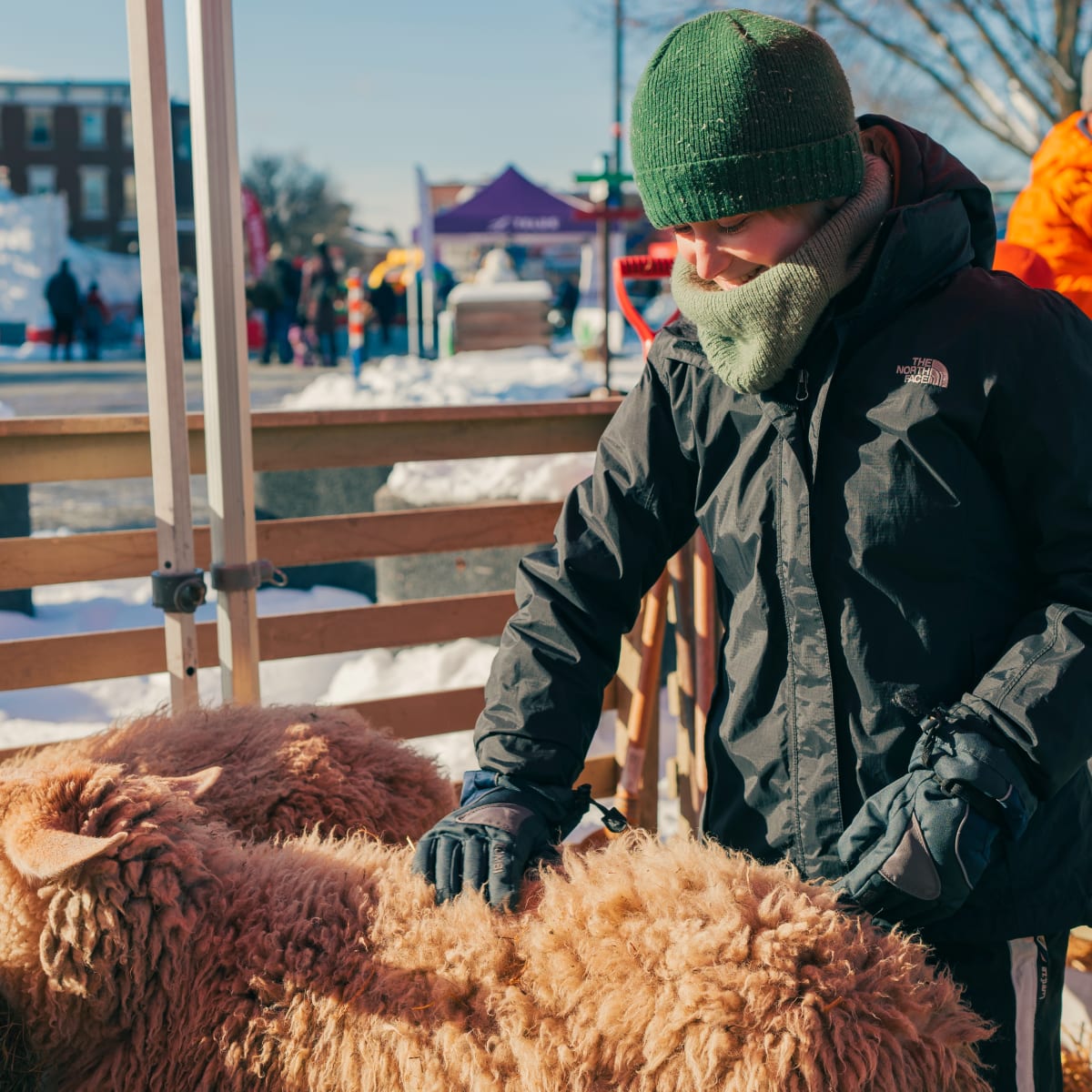 Marcher Noël à Saint-Jérôme