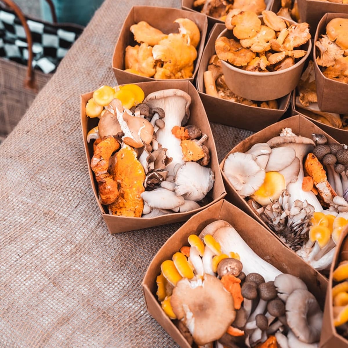 Mushroom boxes at the market