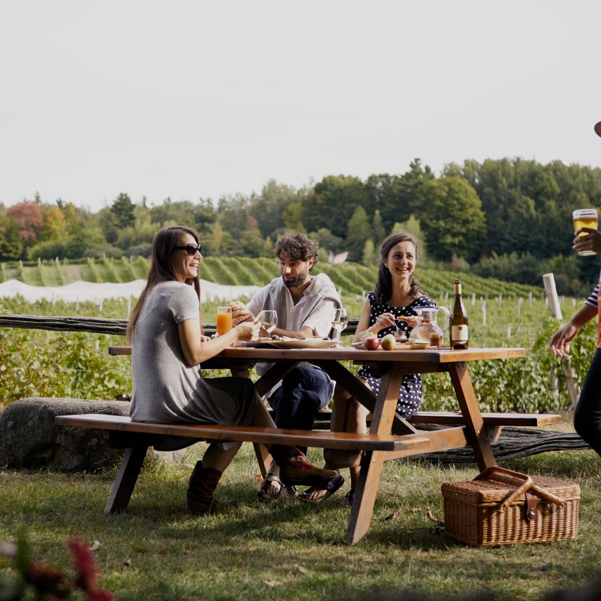  La Route des vins Brome-Missisquoi - Pique-nique au milieu des vignes à Dunham