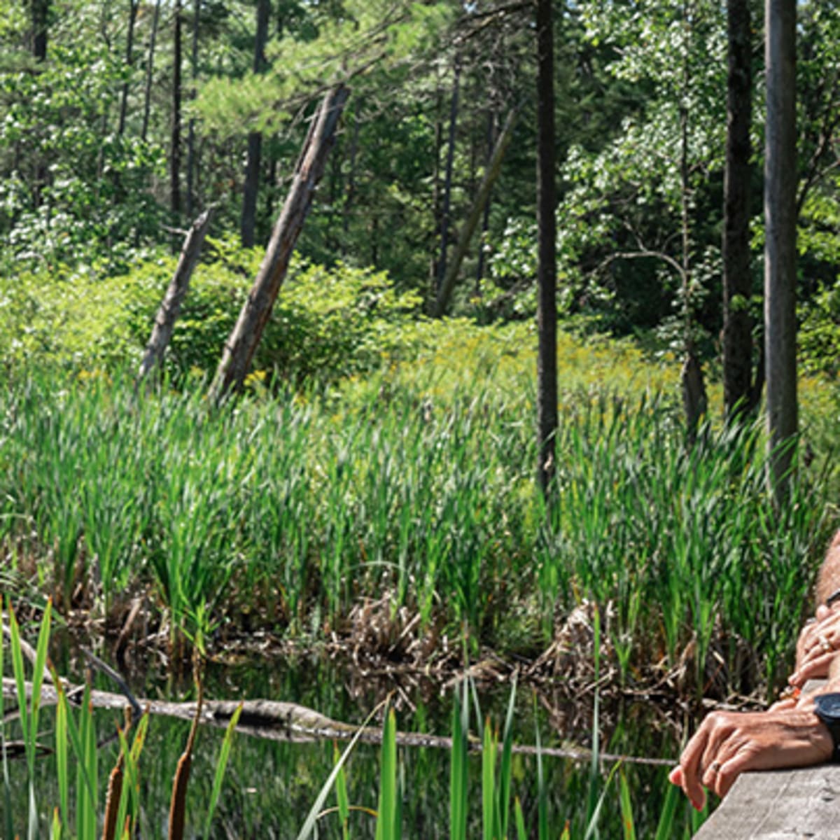Find activities for nature lovers in Sorel-Tracy