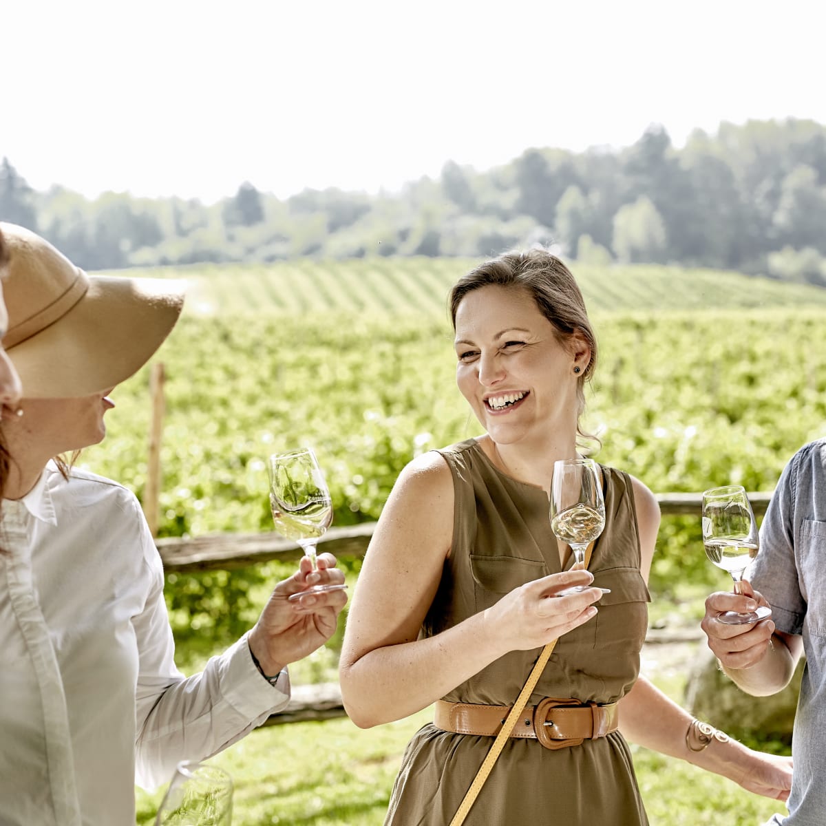  La Route des vins Brome-Missisquoi - Dégustation de vins