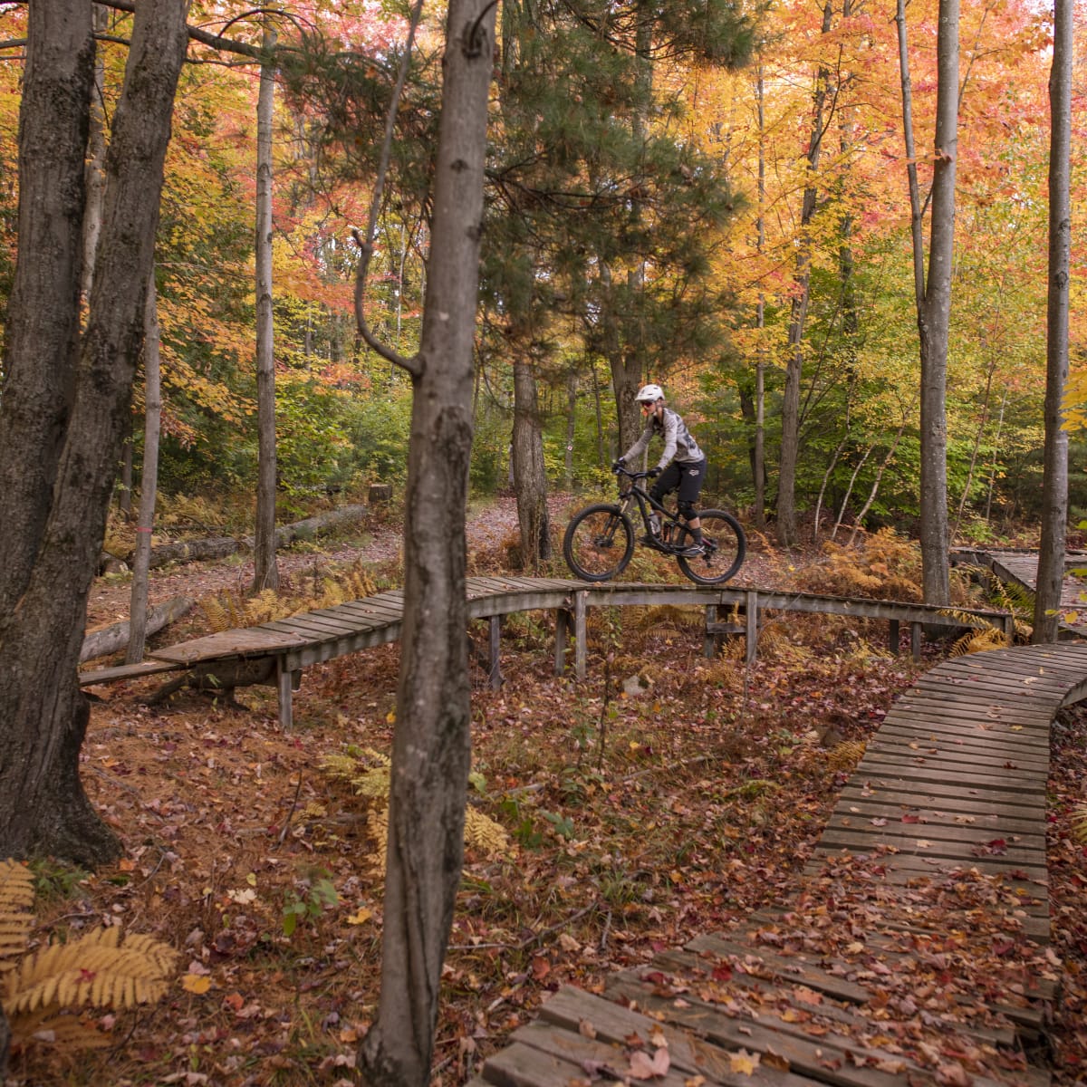 All the colors of fall in Brome-Missisquoi - Mountain bike trail in the fall