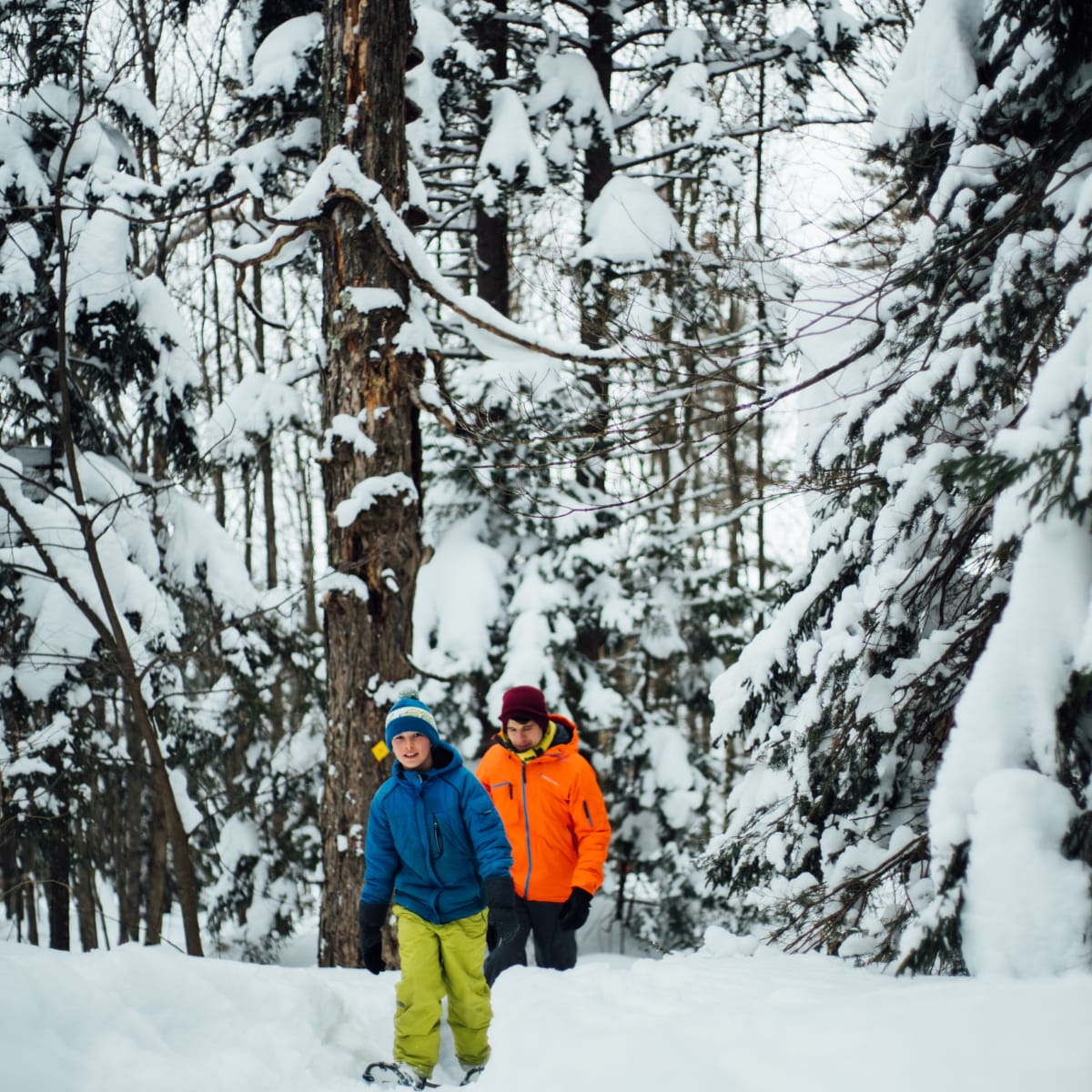 Brome-Missisquoi: winter at its finest