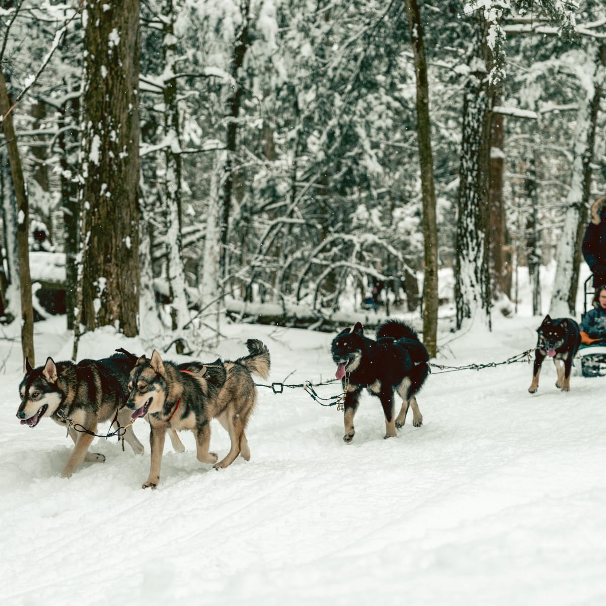 campagne_tourisme_brome_missisquoi_2025_hiver_4