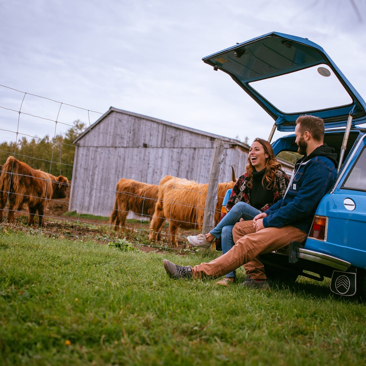 What to do this fall in Centre-du-Québec - Visit to the farm