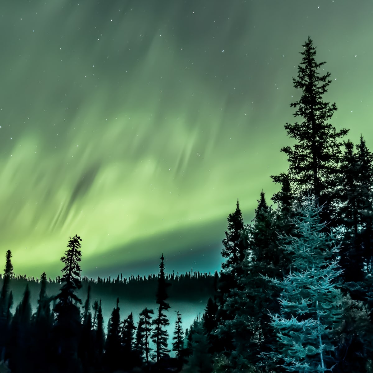 Hit the road and discover your Côte-Nord this winter! - Northern Lights in Côte-Nord