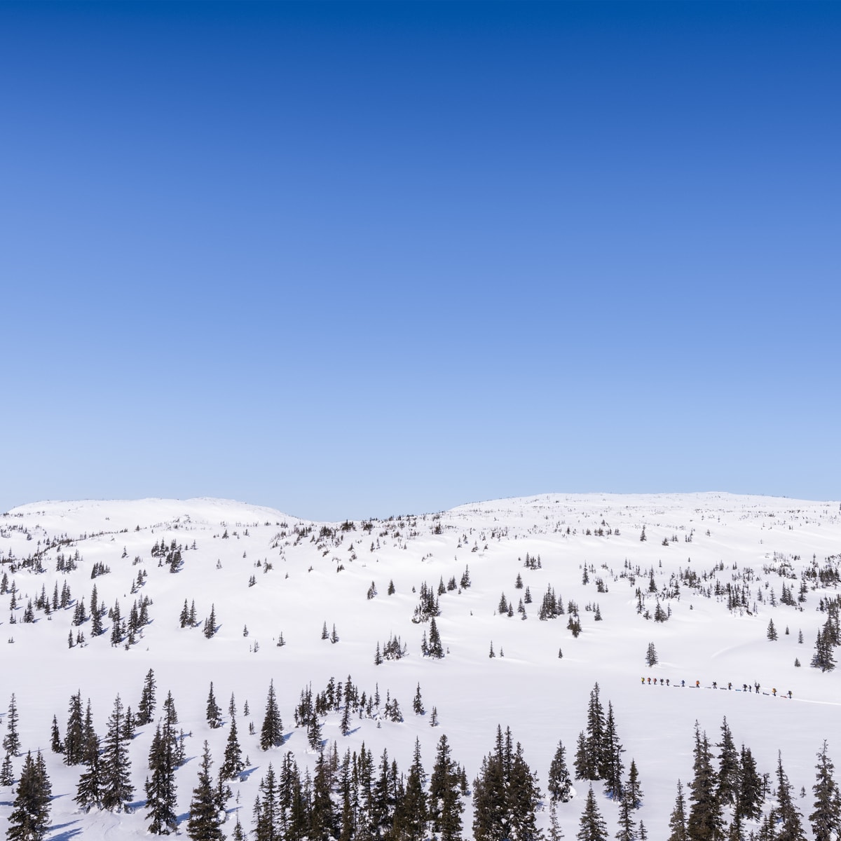 Hit the road and discover your Côte-Nord this winter! - Station Uapishka