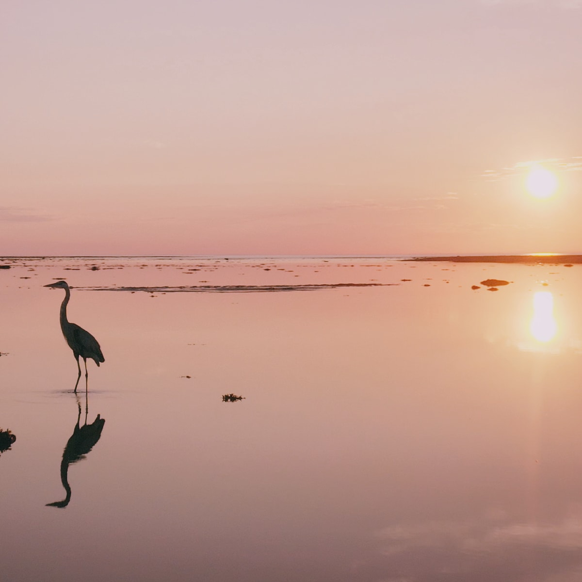 Isle-aux-Coudres - Catch the sunrise in Isle-aux-Coudres