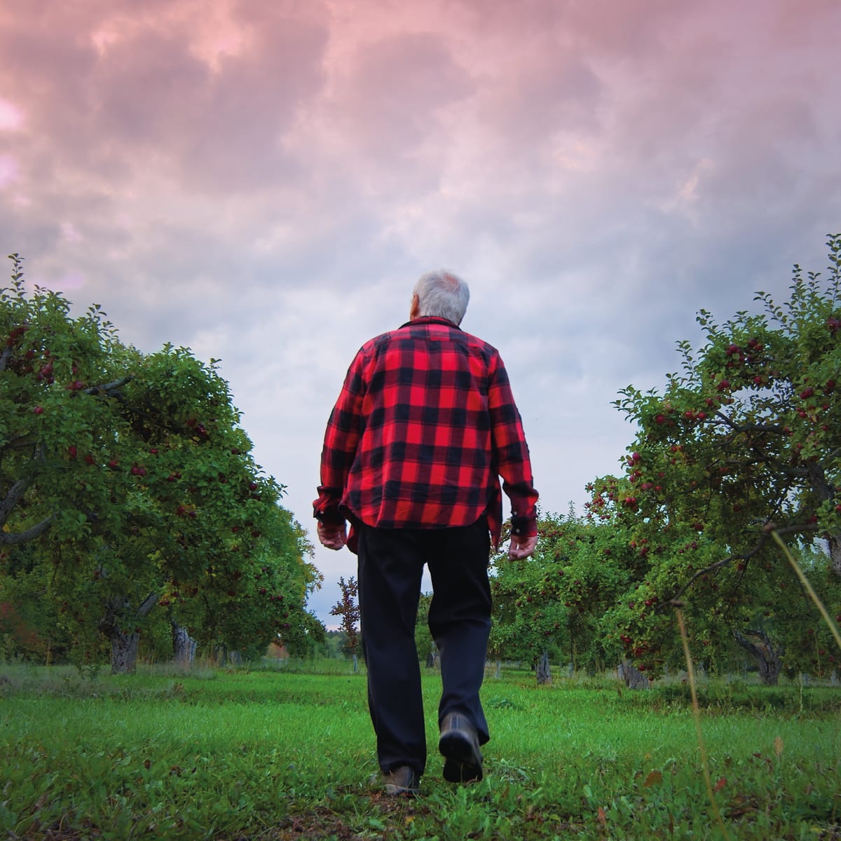Isle-aux-Coudres - Have a walk around an orchard