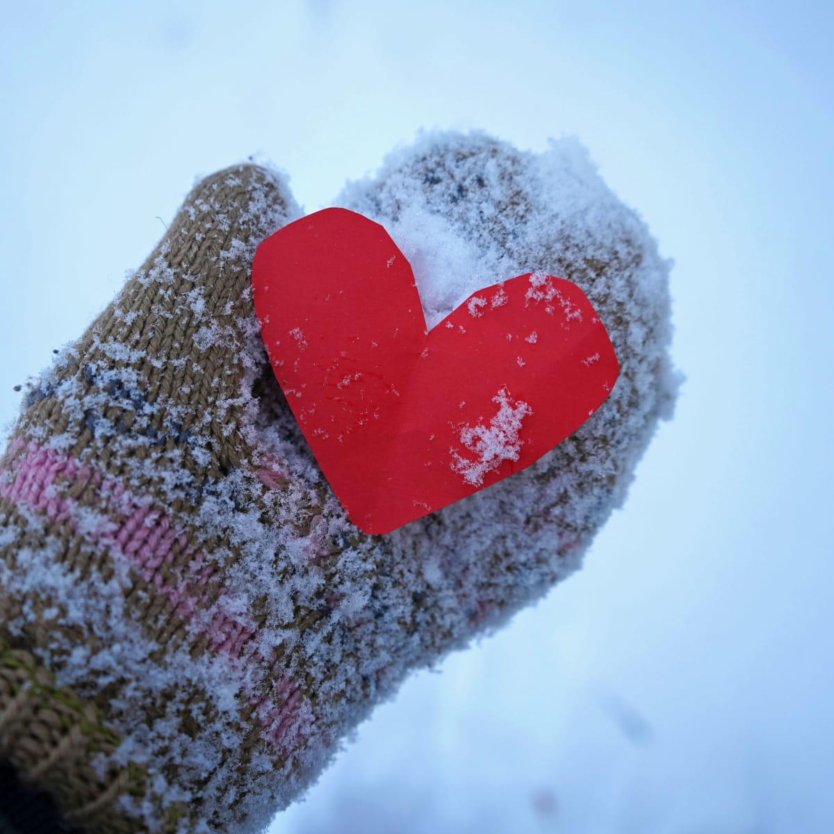 Looking for something to do on Valentine’s Day?