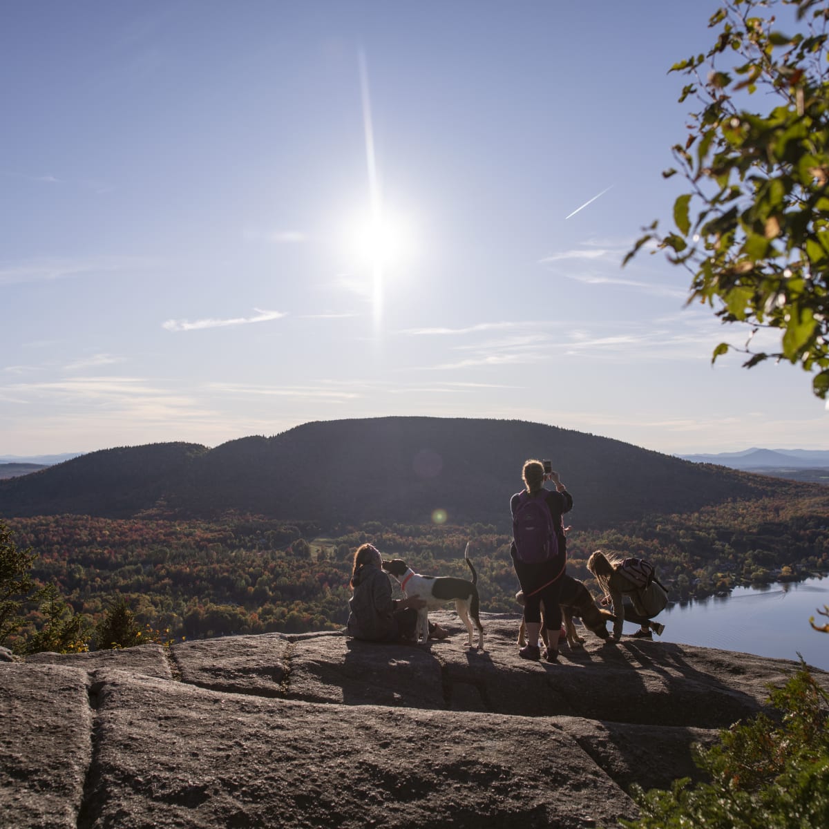Discover dog-friendly parks in Quebec!