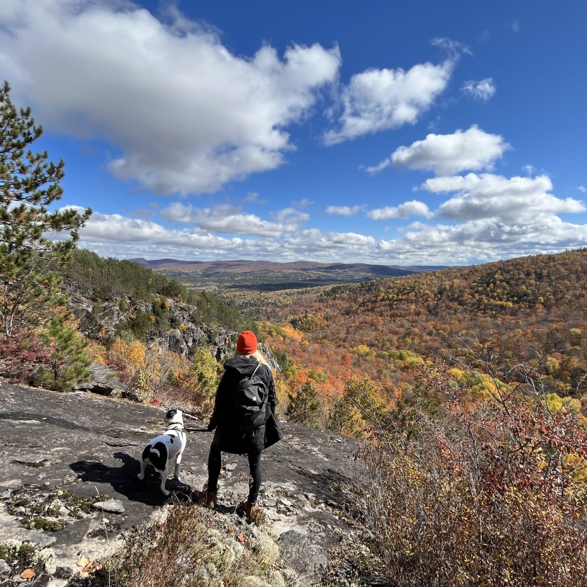 Fall is the perfect time to go hiking with your dog!