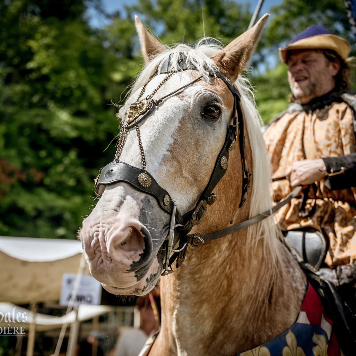 Les Médiévales de Lanaudière