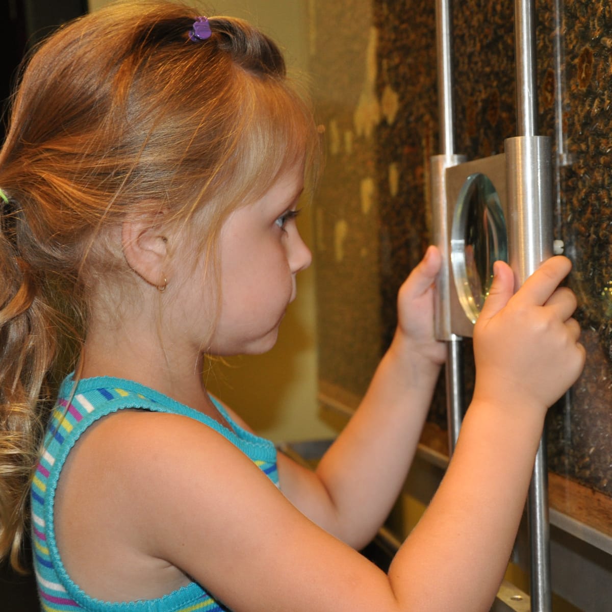 Girl looking at a beehive at the Miellerie Lune de Miel.