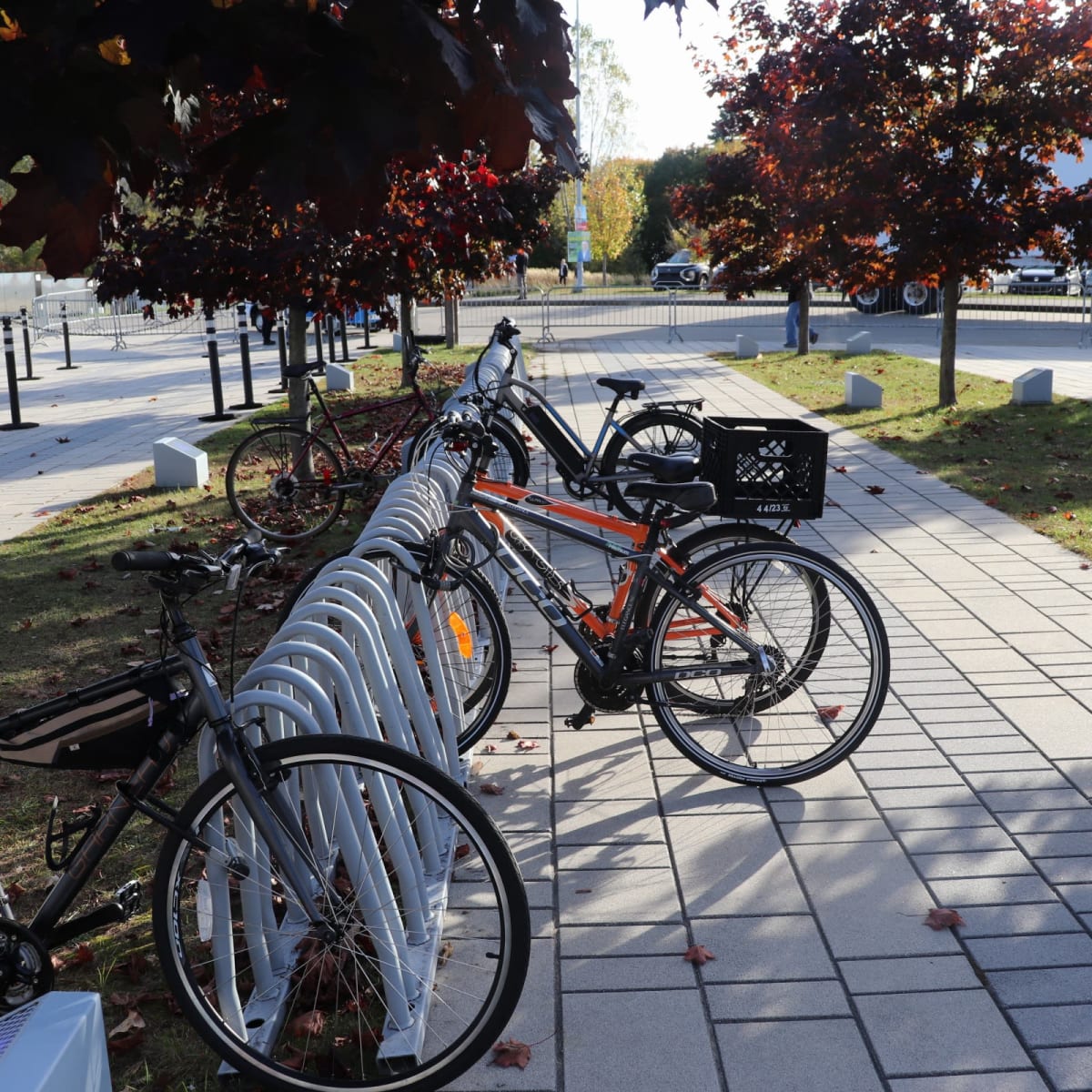 Vélos à l'extérieur de l'événement Délices d'automne.