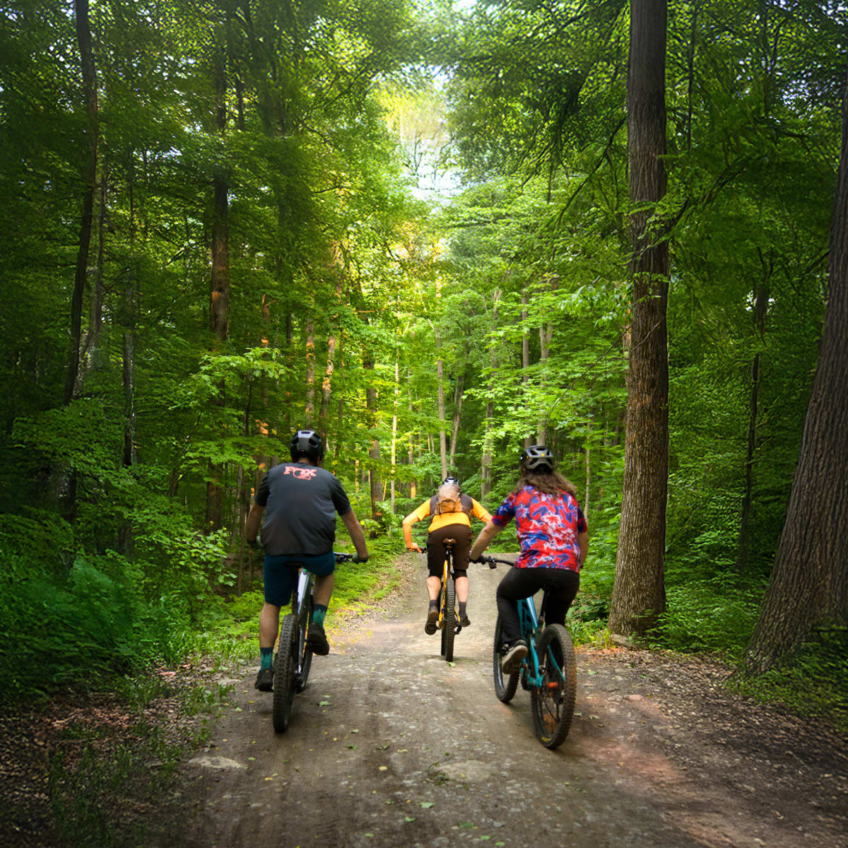 Biking at Mont Rigaud.