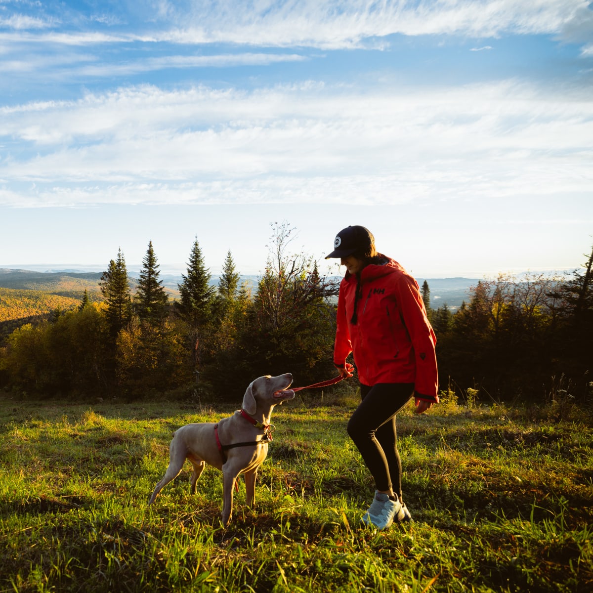 Une femme et son chien en randonnée au Mont-Sainte-Anne.