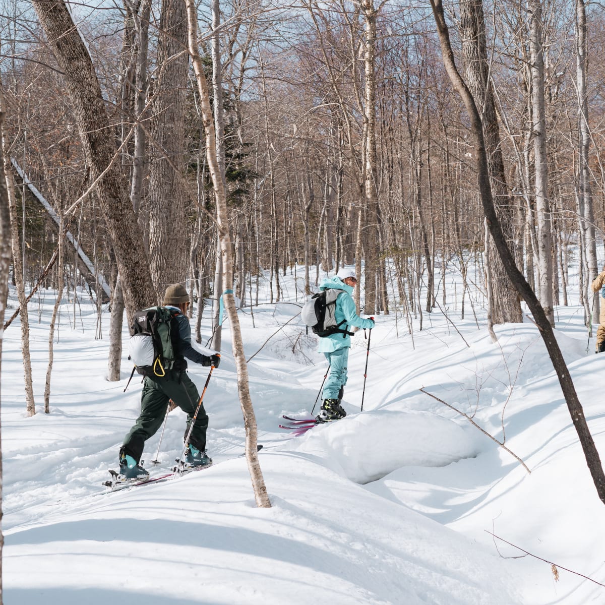 Randonnée alpine au Mont-Sainte-Anne.