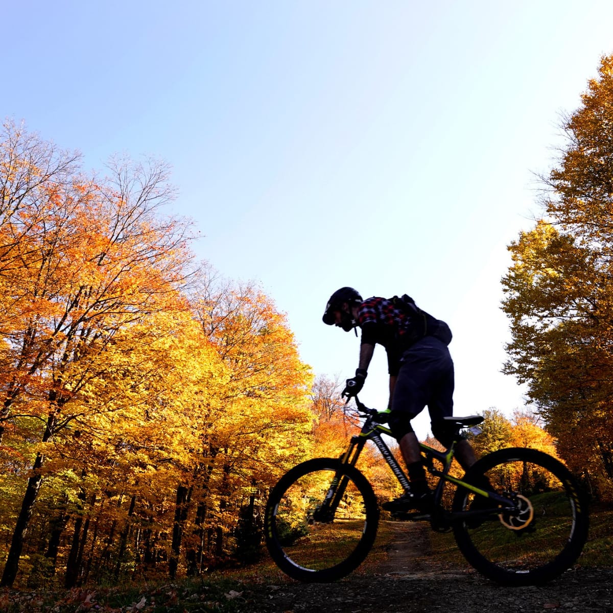 Vélo l'automne au Mont SUTTON
