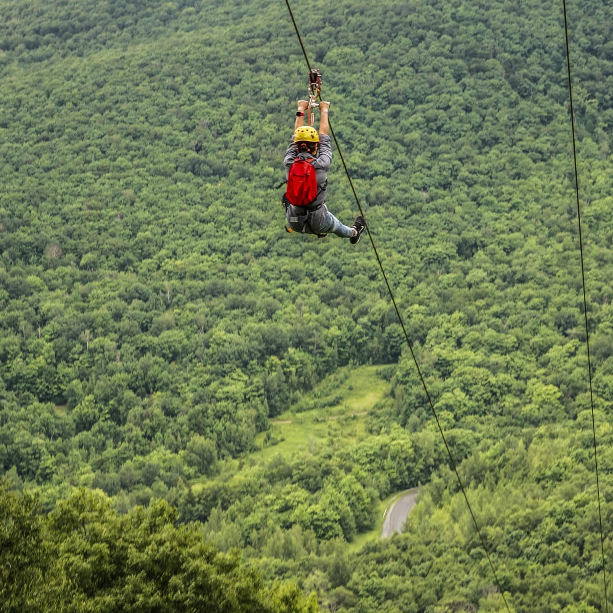 Tyrolienne au Mont SUTTON